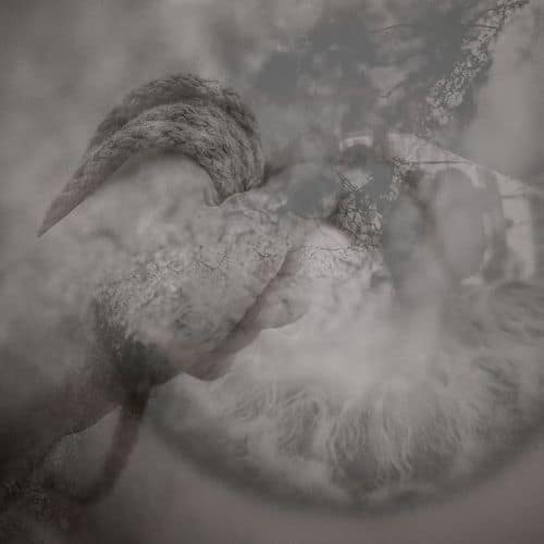

Split Album [LP] - VINYL