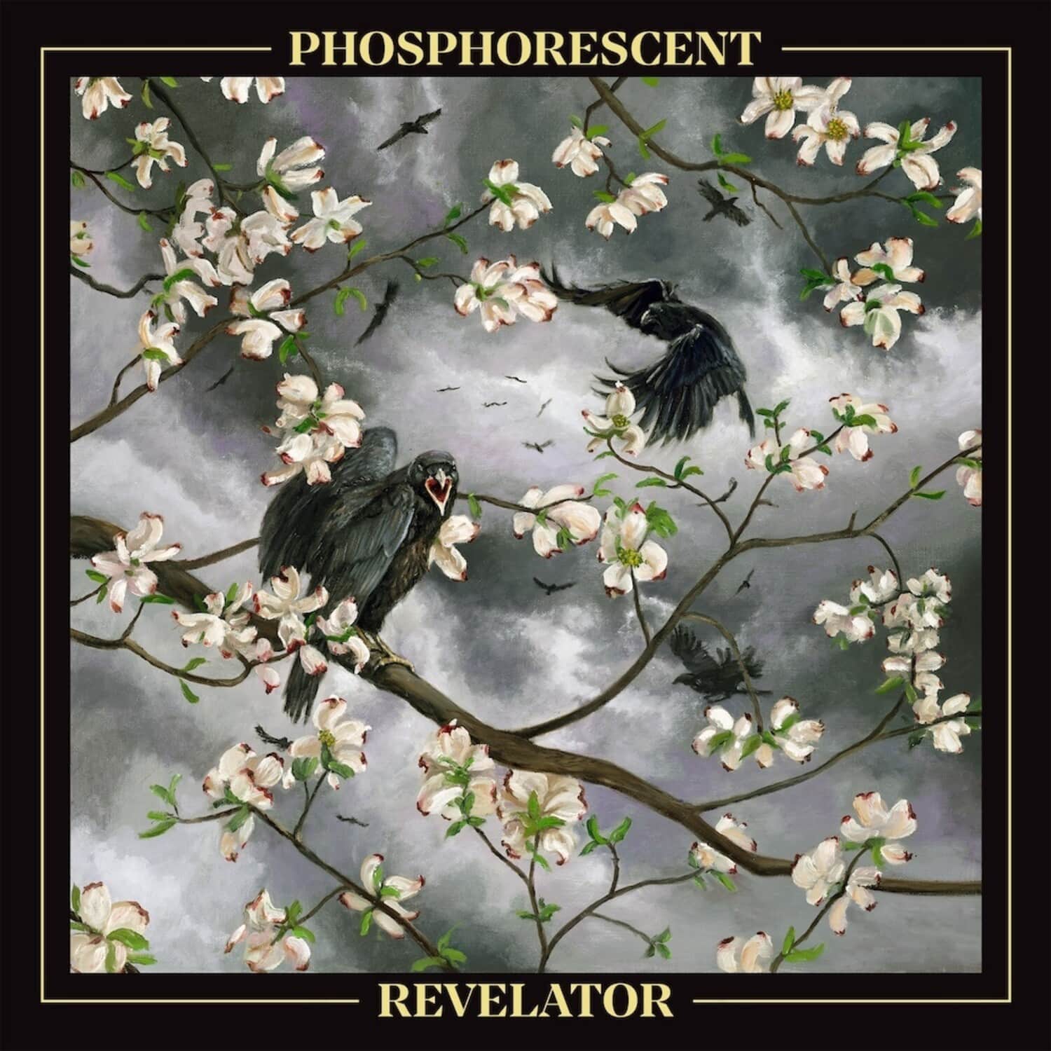 Phosphorescent - Revelator   - COMPACT DISCS [CD] price history on PriceWatchPro