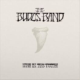 The Budos Band - Long In The Tooth - VINYL LP
