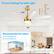 72 Inch Ceiling Fan with Light
6.2"
7/12"
65"
12"
7"
Recommended for indoor:
20 ft. x 20 ft. (400 sq.ft)
25 ft. x 25 ft. (625 sq.ft)
Slopped Ceiling (≤ 12°)
