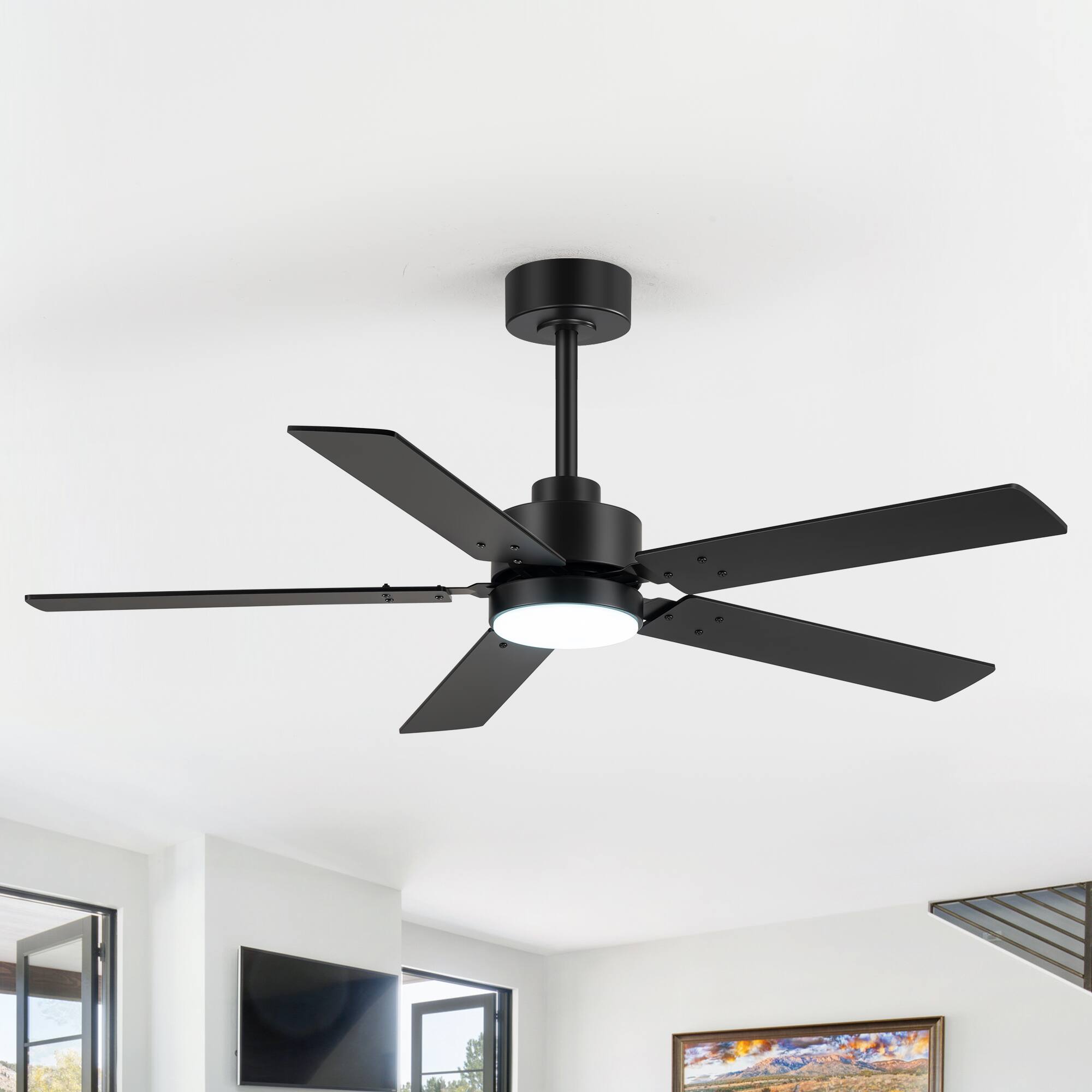 Back. Breezary - 48-Inch Ceiling Fan with LED Light, Reversible 5 Plywood Blades, DC Motor 30W, Includes 5 & 10-Inch Downrods, Remote - Black(with light).