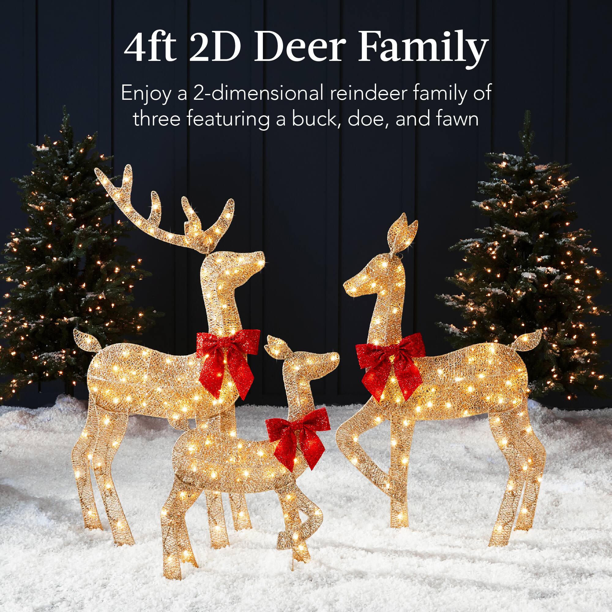 4ft 2D Deer Family

Enjoy a 2-dimensional reindeer family of three featuring a buck, doe, and fawn