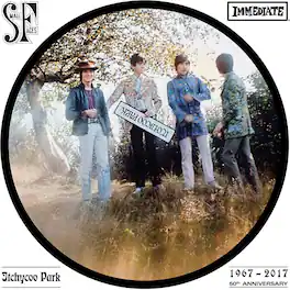 The Small Faces - Itchycoo Park - VINYL LP