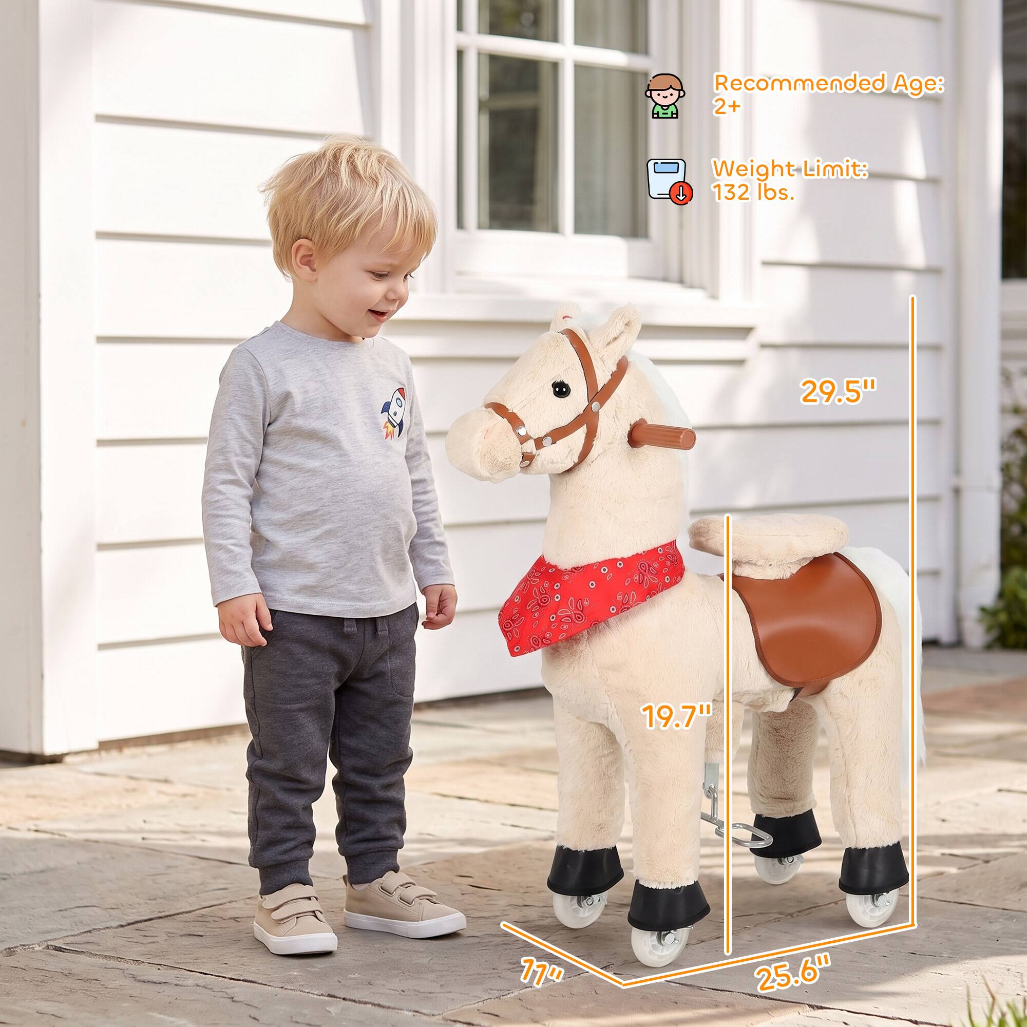 Recommended Age: 2+  
Weight Limit: 132 lbs.  
29.5"  
19.7"  
11"  
25.6"