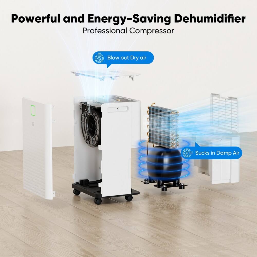 Powerful and Energy-Saving Dehumidifier  
Professional Compressor  
Blow out Dry air  
Sucks in Damp Air