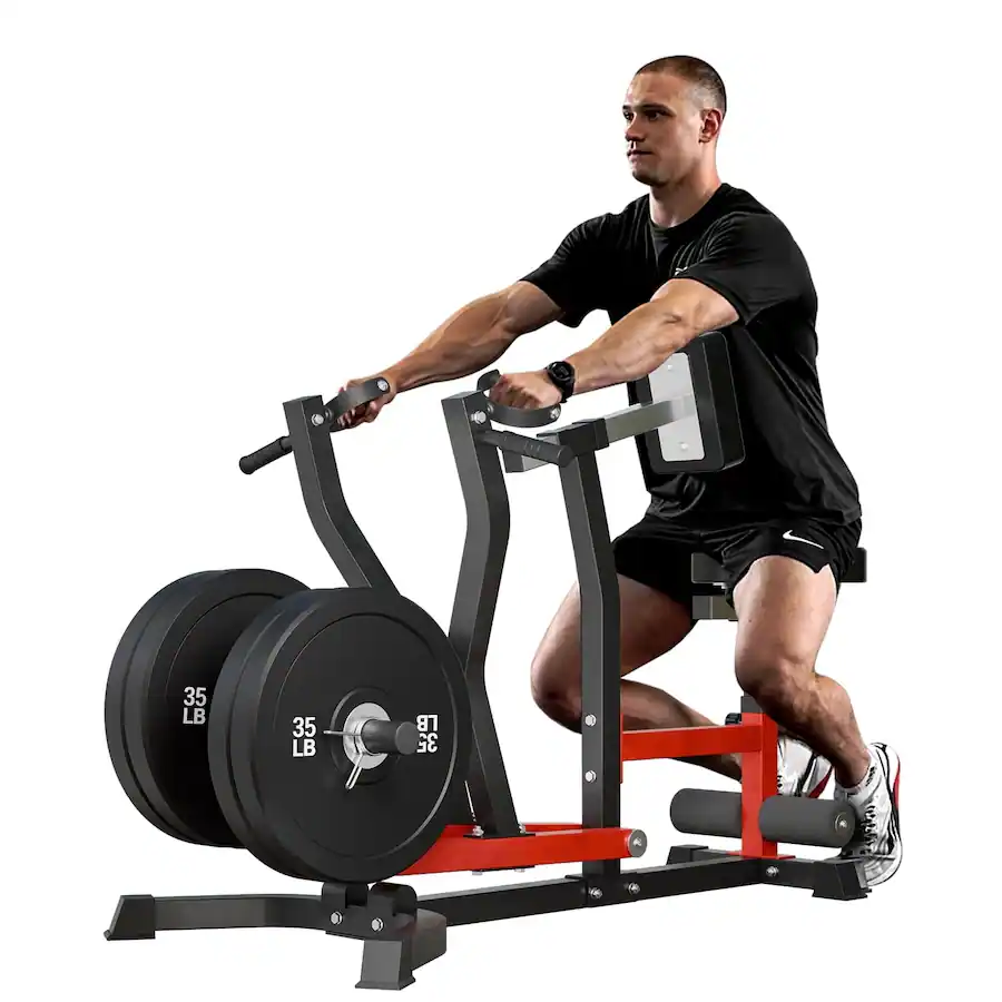 Syedee Seated Row Machine, Plate Loaded Lat and Back Workout Equipment ...