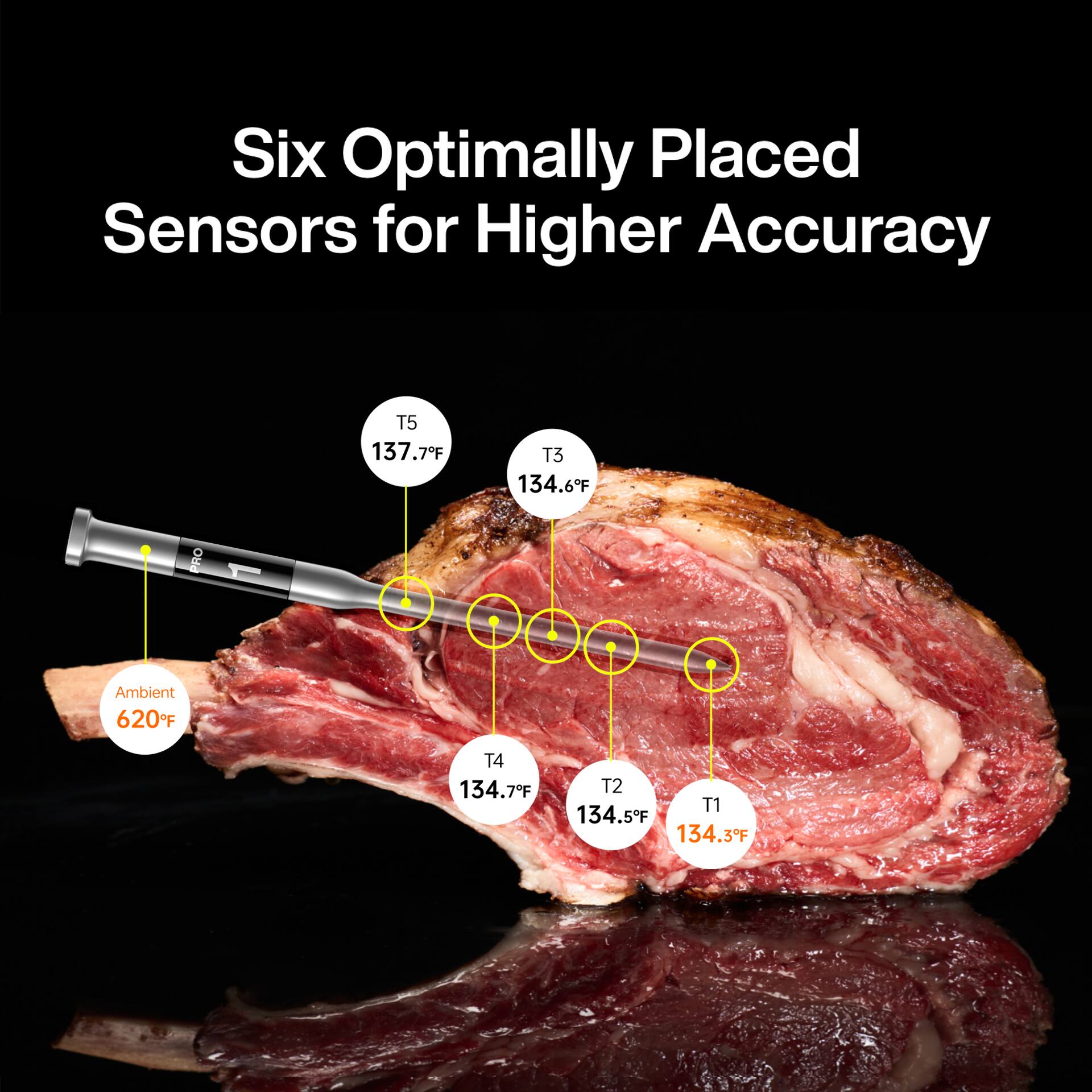 Six Optimally Placed Sensors for Higher Accuracy

T5: 137.7°F  
T3: 134.6°F  
PRO Ambient: 620°F  
T4: 134.7°F  
T2: 134.5°F  
T1: 134.3°F