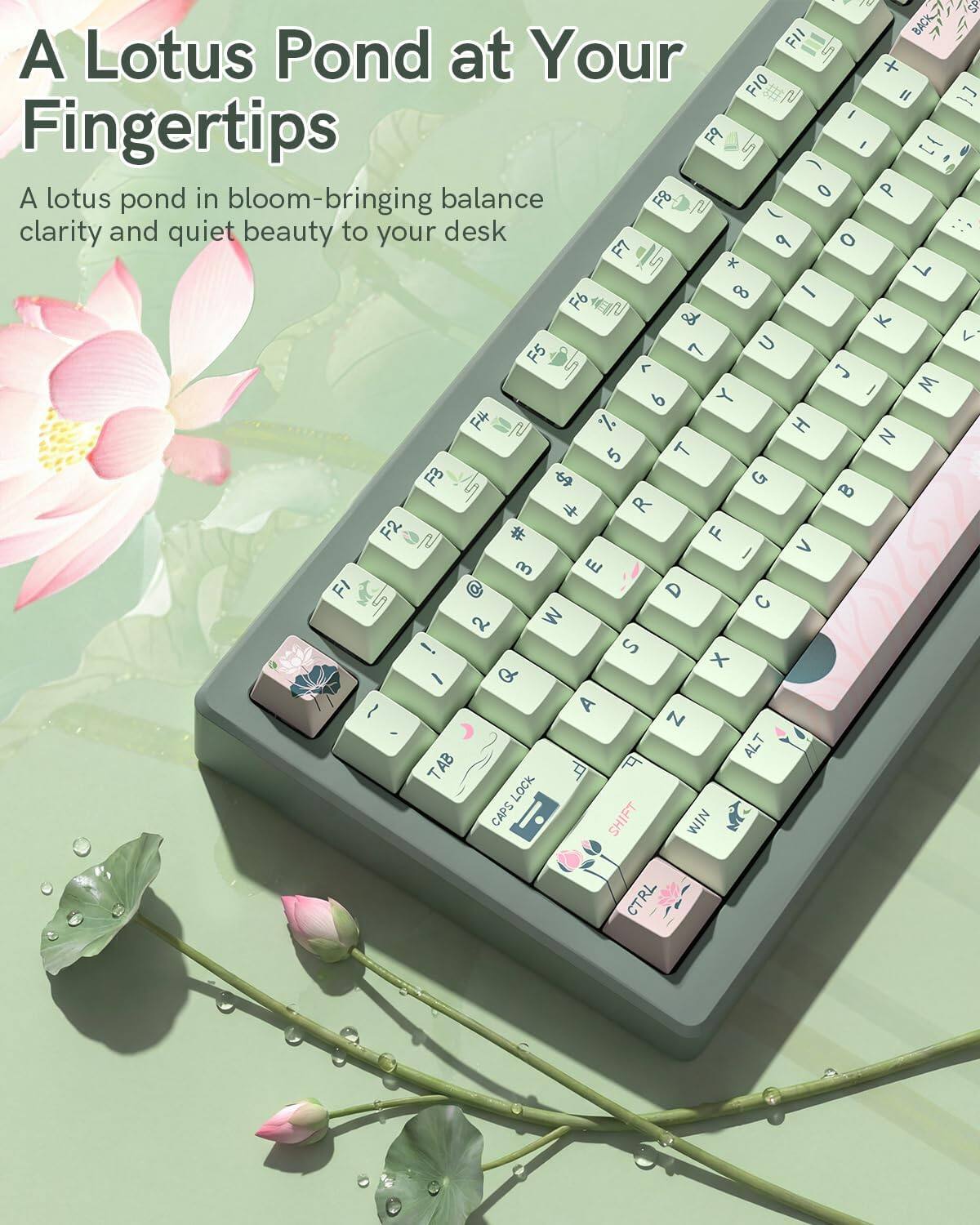 A Lotus Pond at Your Fingertips

A lotus pond in bloom-bringing balance clarity and quiet beauty to your desk
