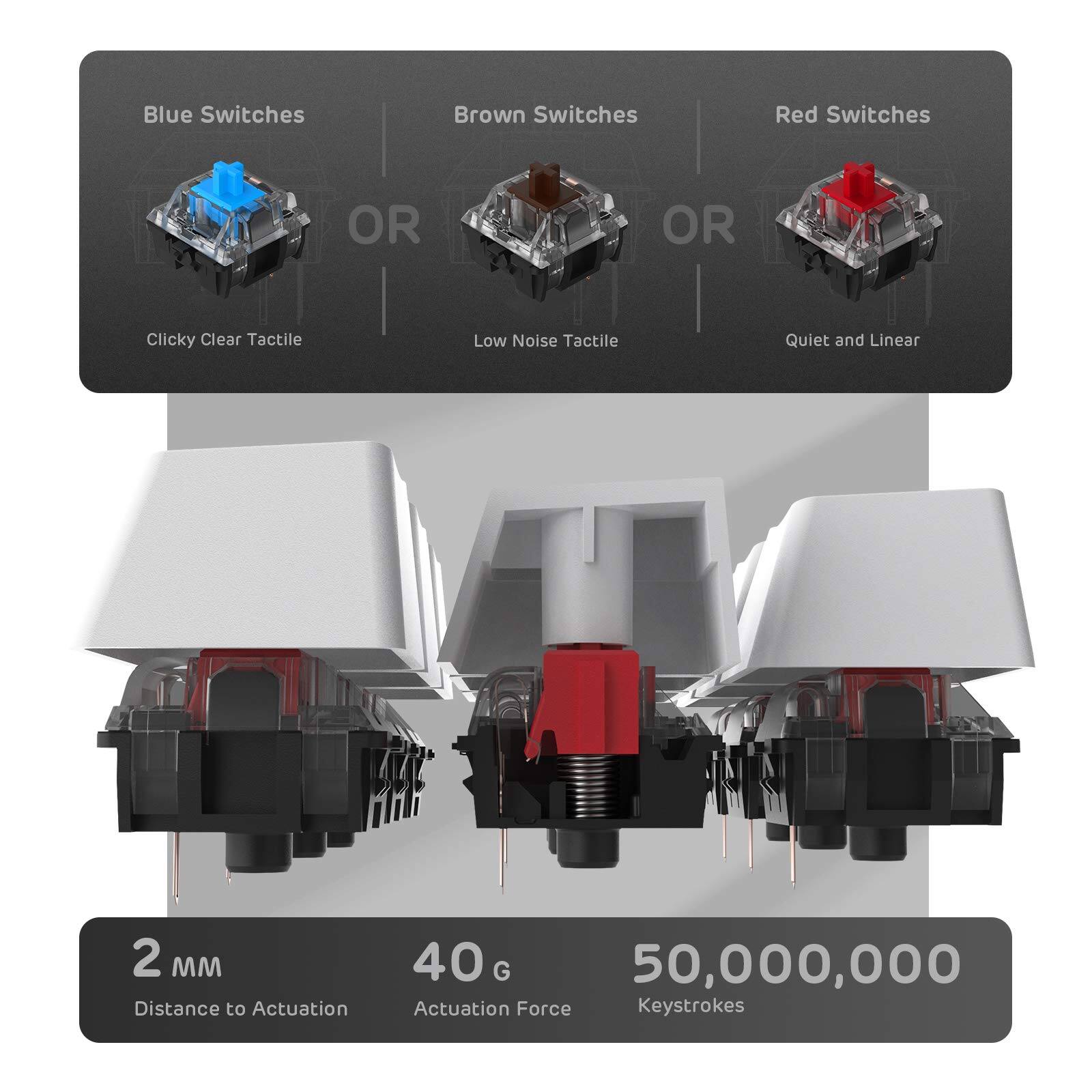 Blue Switches  
OR  
Brown Switches  
OR  
Red Switches  

Clicky Clear Tactile  
Low Noise Tactile  
Quiet and Linear  

2 MM  
Distance to Actuation  

40 G  
Actuation Force  

50,000,000  
Key Strokes