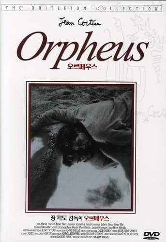 Orpheus (Orphée)  - DVD