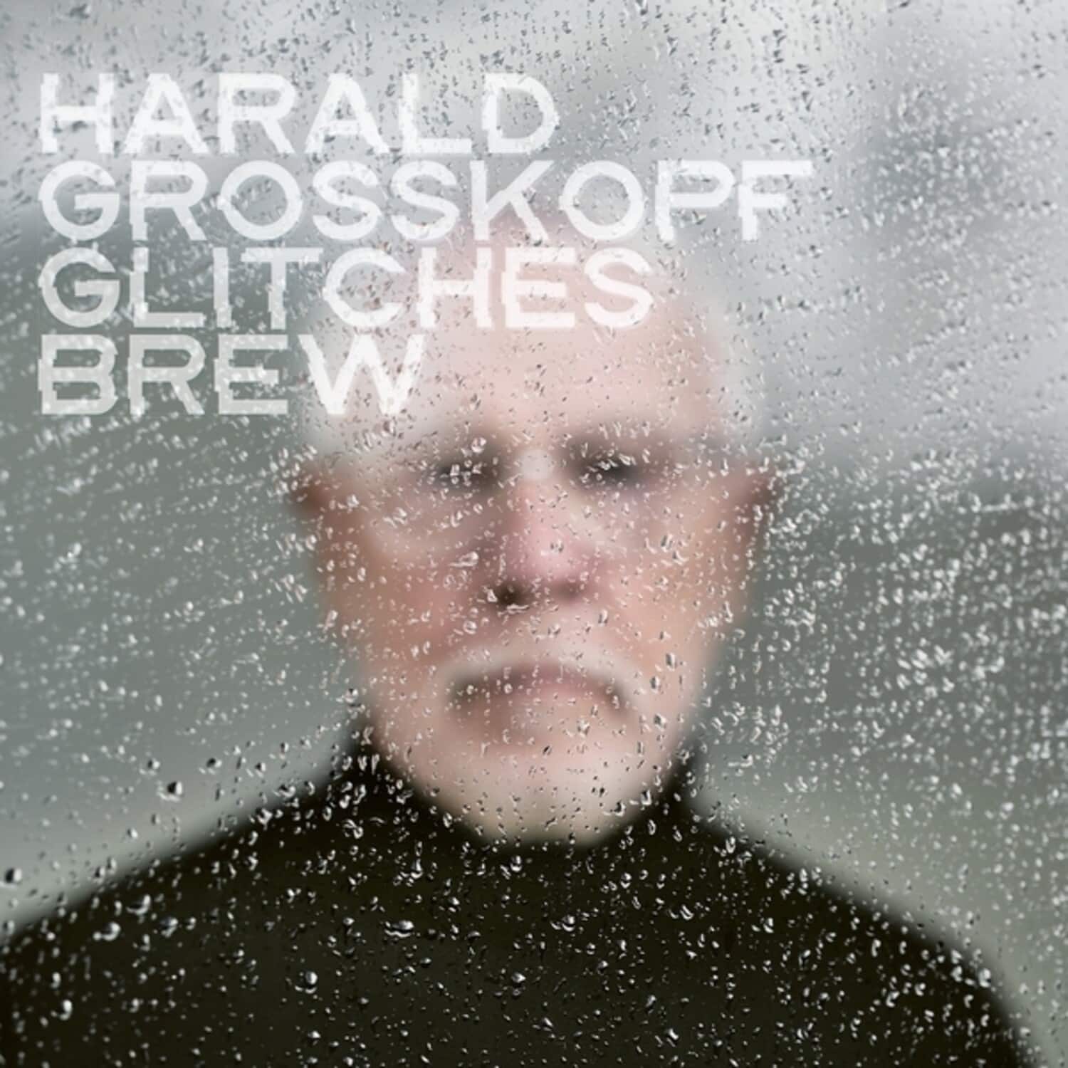 Harald Grosskopf - Glitches Brew   - VINYL LP price history on PriceWatchPro