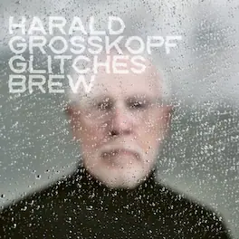 Harald Grosskopf - Glitches Brew - VINYL LP