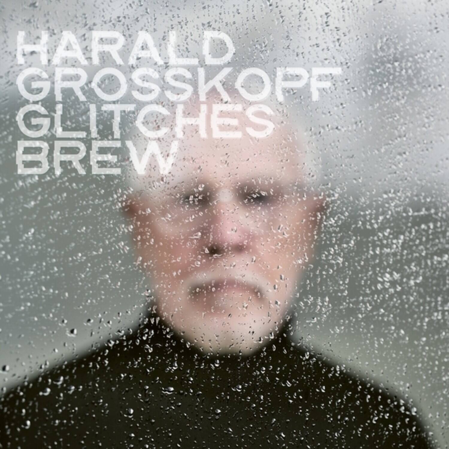 Harald Grosskopf - Glitches Brew   - VINYL LP
