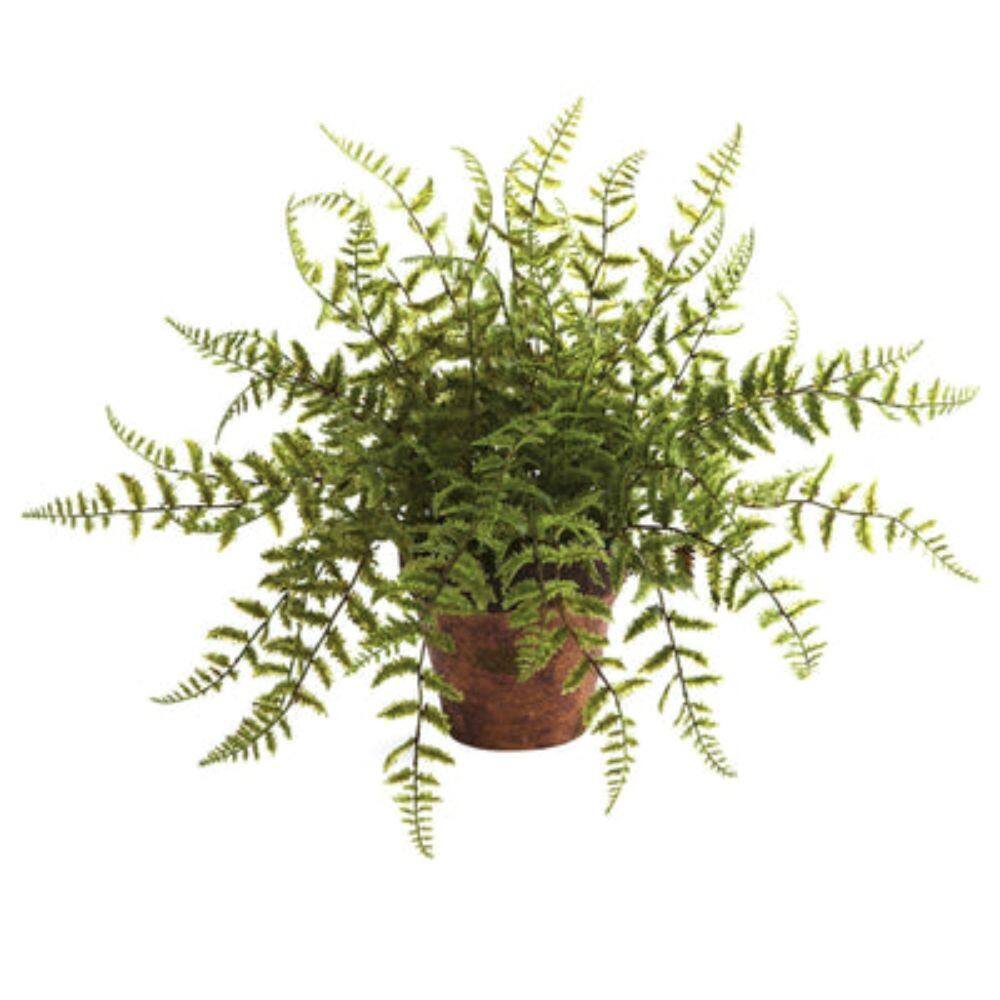Angle. BreeBe - 12" Fern w/Decorative Planter (Set of 2) - Green.