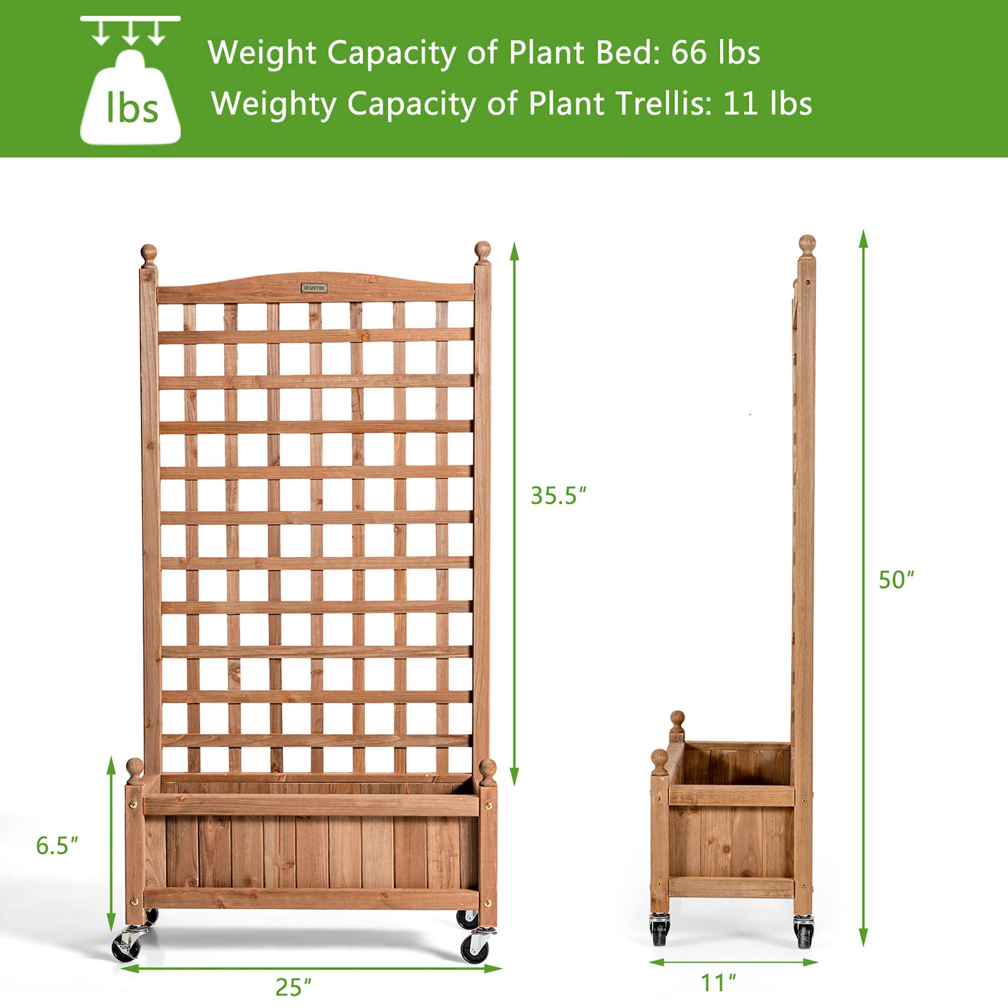 Weight Capacity of Plant Bed: 66 lbs. Weighty Capacity of Plant Trellis: 11 lbs.