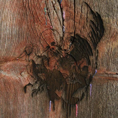 Avey Tare - Enter the Slasher House   - VINYL LP price history on PriceWatchPro