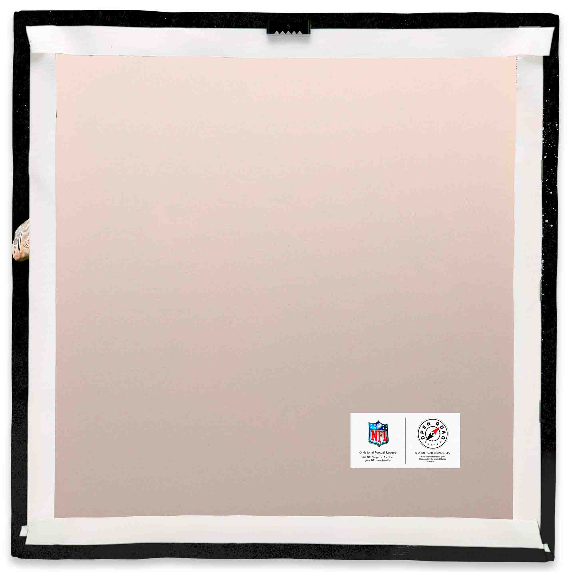 NFL  
National Football League  
©2021 NFL Properties, LLC  
©2021 Panini America, Inc.