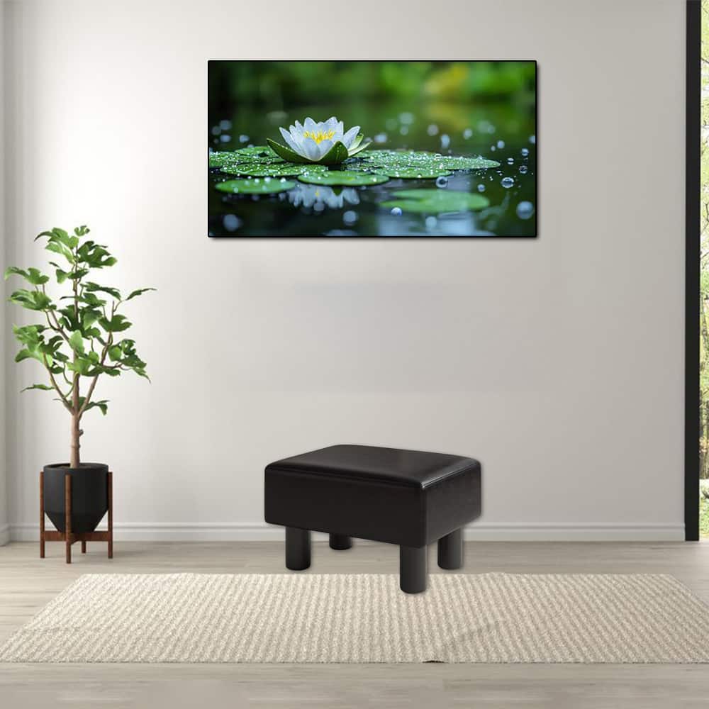 Hivvago - Compact Rectangular PU Leather Ottoman Footstool with Padded Seat - Black