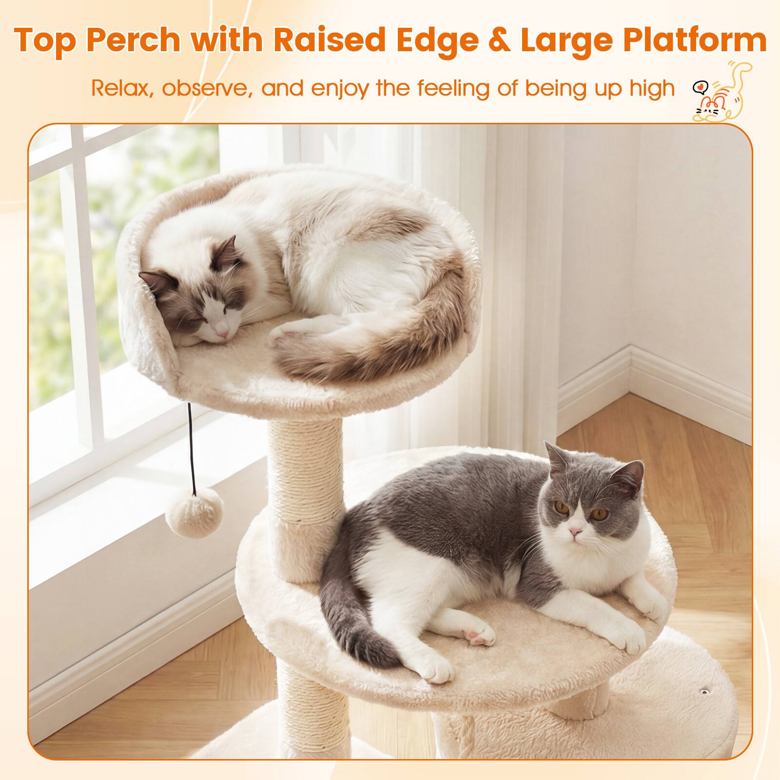 Top Perch with Raised Edge & Large Platform  
Relax, observe, and enjoy the feeling of being up high