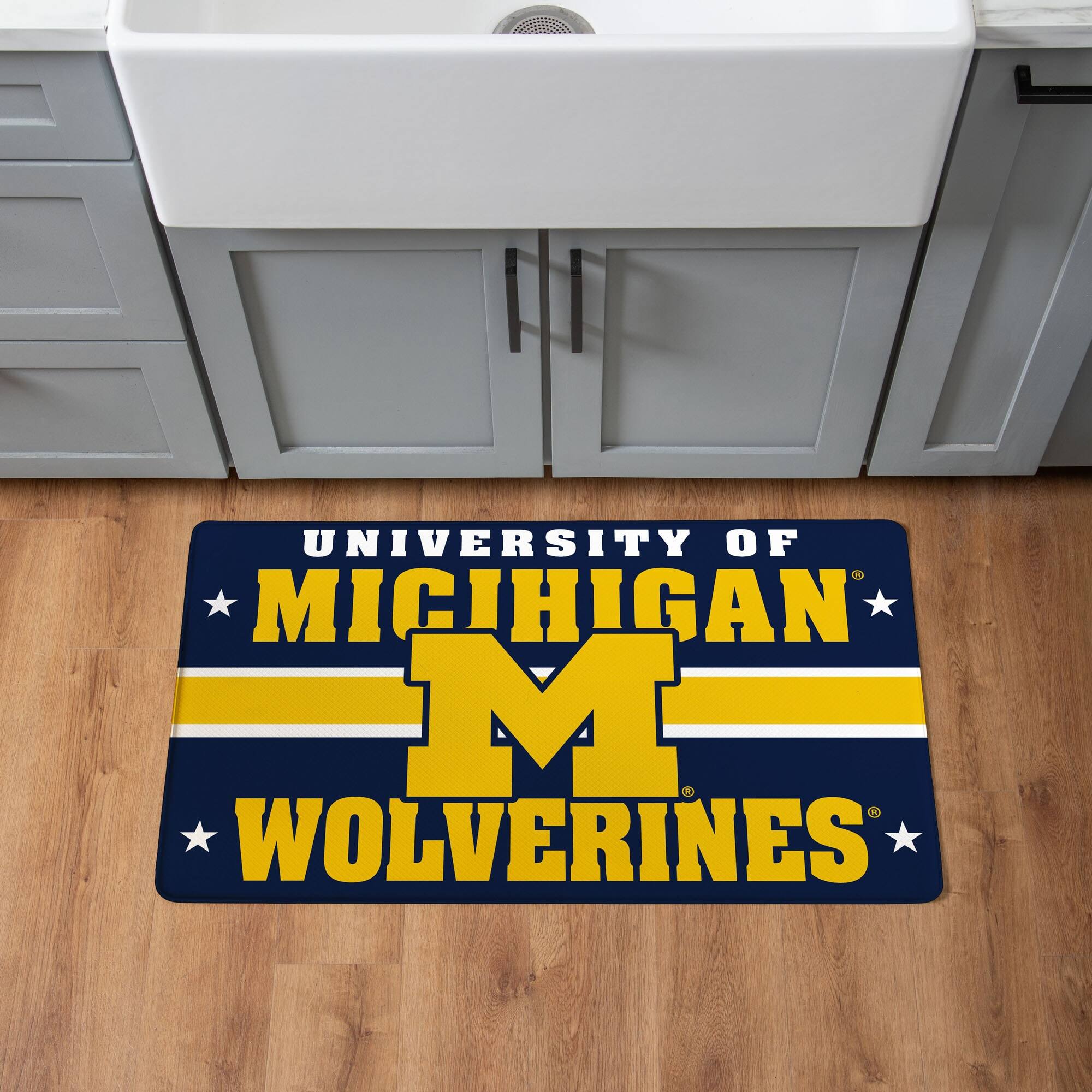 Evergreen Enterprises Michigan Wolverines 18