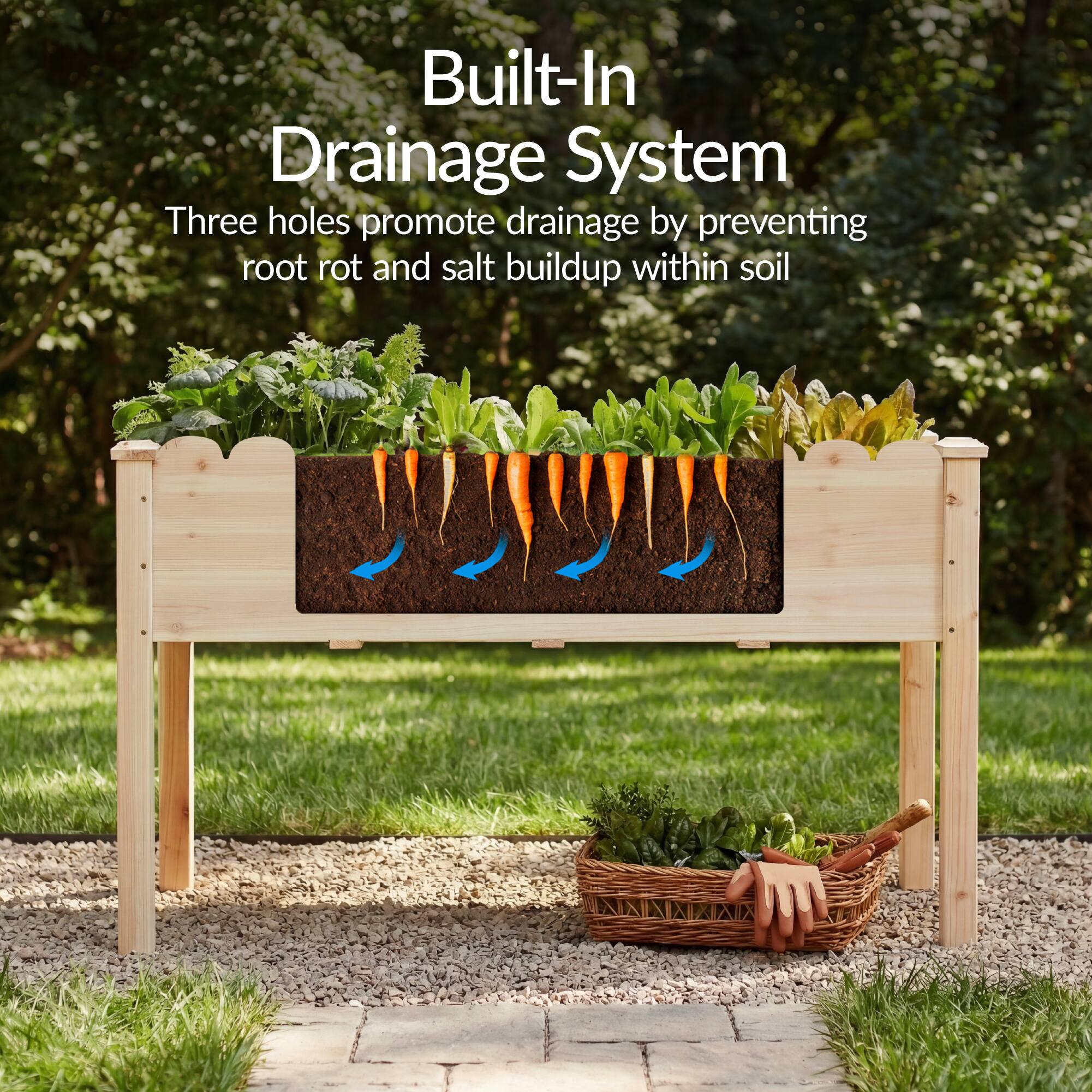 Built-In Drainage System  
Three holes promote drainage by preventing root rot and salt buildup within soil