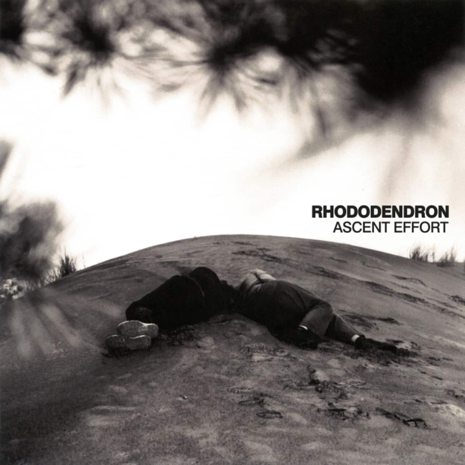Rhododendron - Ascent Effort   - VINYL LP price history on PriceWatchPro