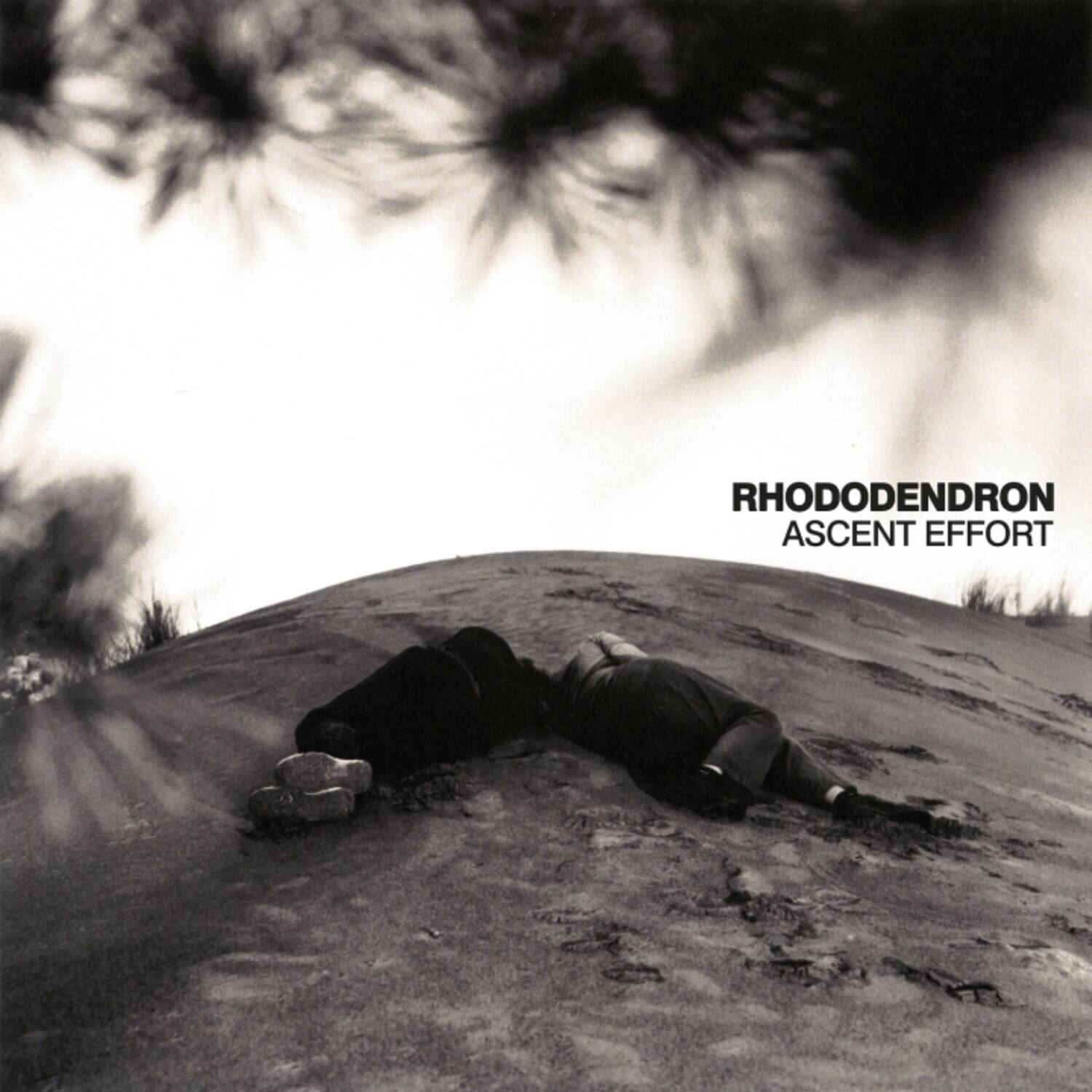 Rhododendron - Ascent Effort - CASSETTES