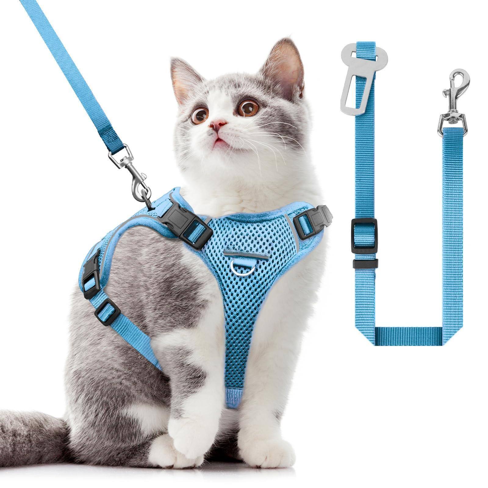 Blue-Medium (13-18lb)