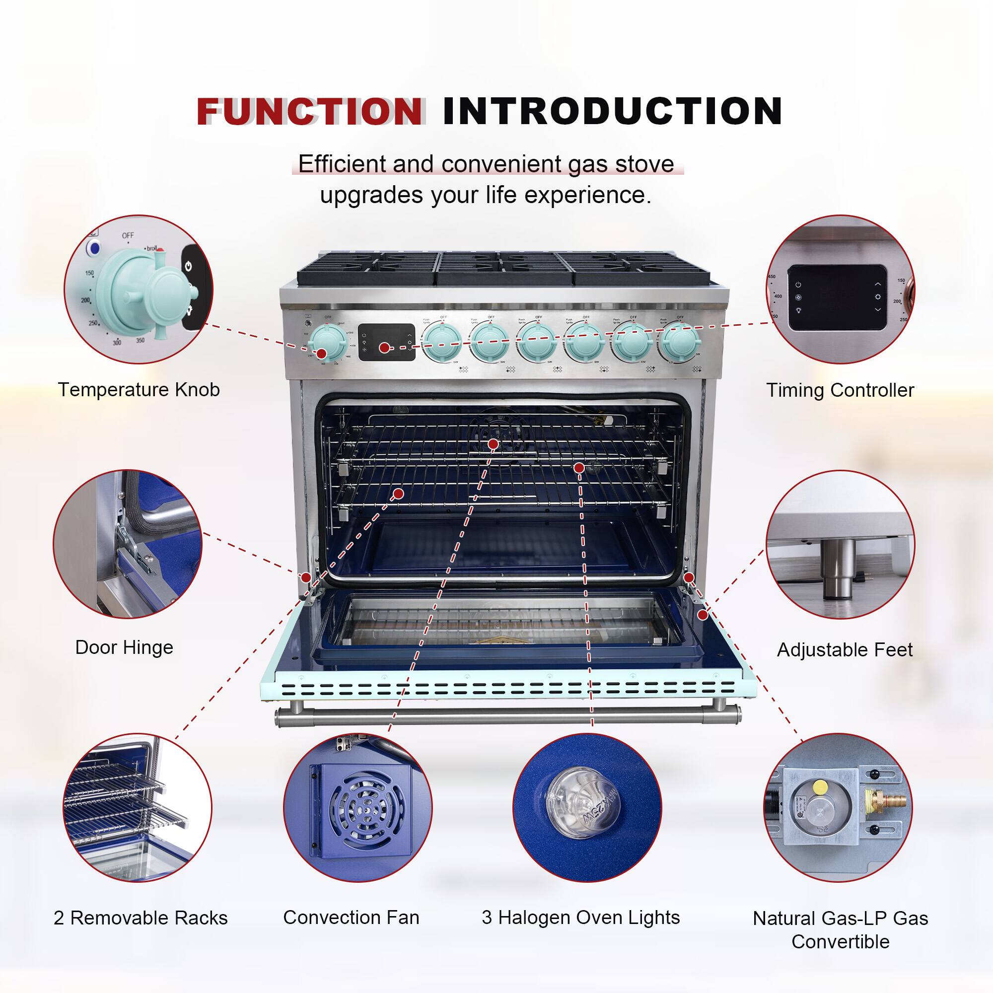 FUNCTION INTRODUCTION  
Efficient and convenient gas stove upgrades your life experience.  

- Temperature Knob  
- Timing Controller  
- Door Hinge  
- Adjustable Feet  
- 2 Removable Racks  
- Convection Fan  
- 3 Halogen Oven Lights  
- Natural Gas-LP Gas Convertible