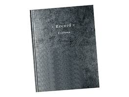 Staples - Columnar Book, 2-Columns, 80 Pages, Gray Marble, 40 Sheets/Book - Blue Marble