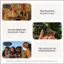 Group 1:

1. Add Me
2. Take the picture. And be in it too.

Group 2:

1. Align with the frame and take a photo acro Focus
2. Turn tiny details into spectacular images.

Group 3:

1. Best
2. Take group pics the whole group loves.

Note: The text "1 Results may vary. Not available for all cameras, apps, or modes." is not part of the grouping and should be removed.