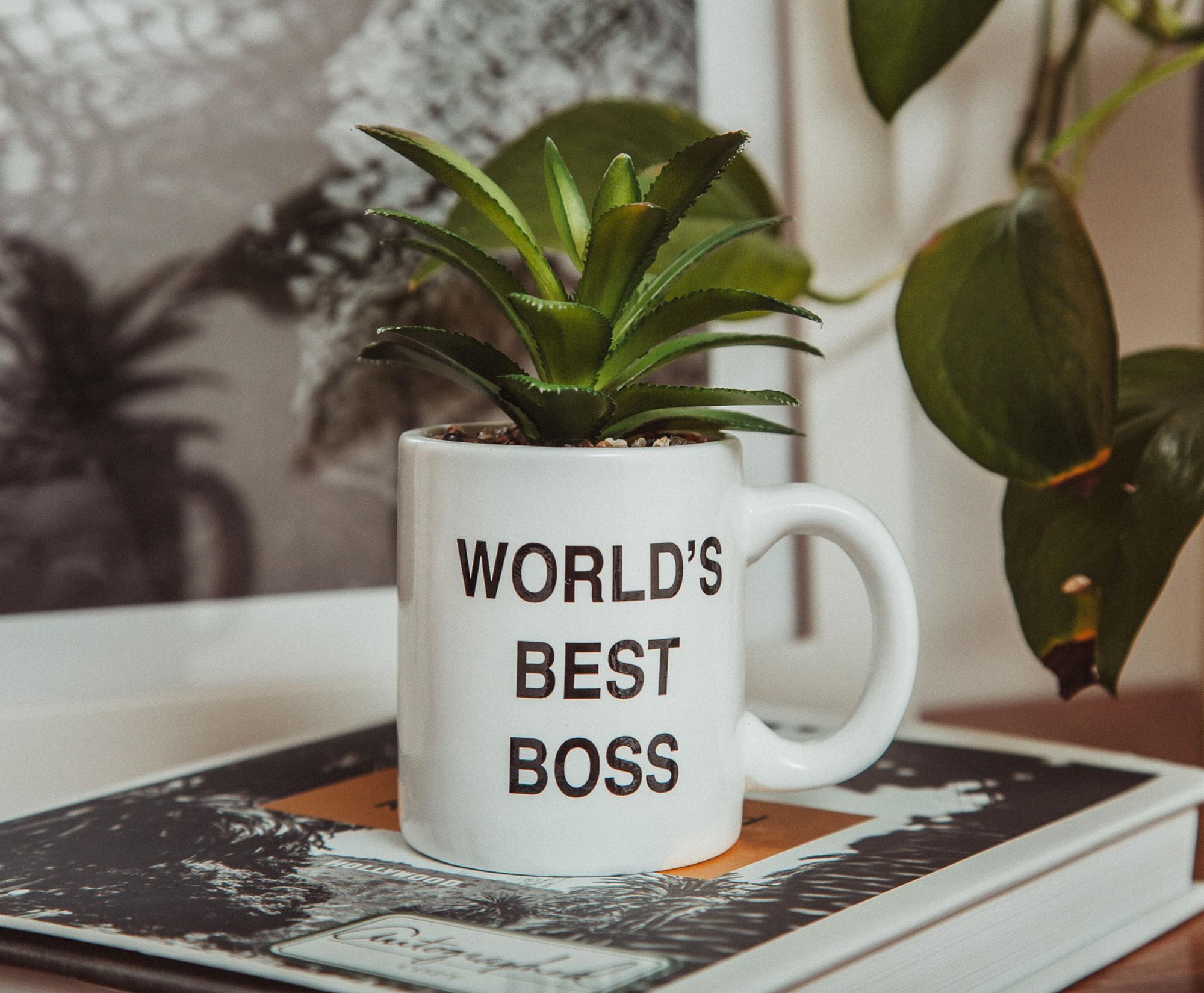 WORLD'S BEST BOSS