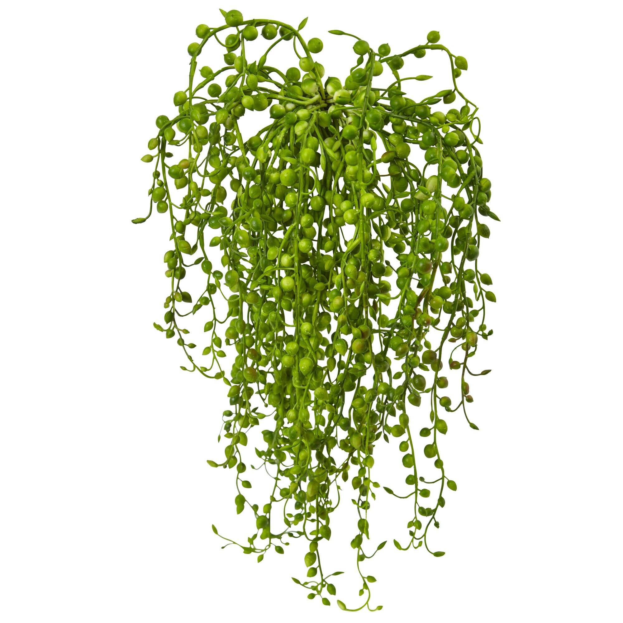 Front. BreeBe - 15" Senecio Succulent (Set of 3) - Green.