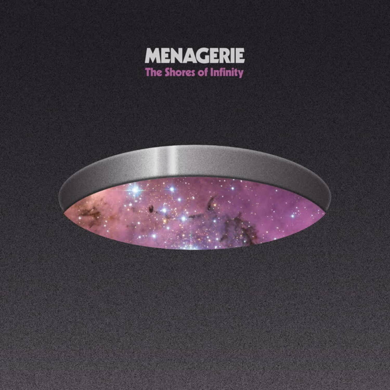 Menagerie - The Shores of Infinity   - VINYL LP price history on PriceWatchPro