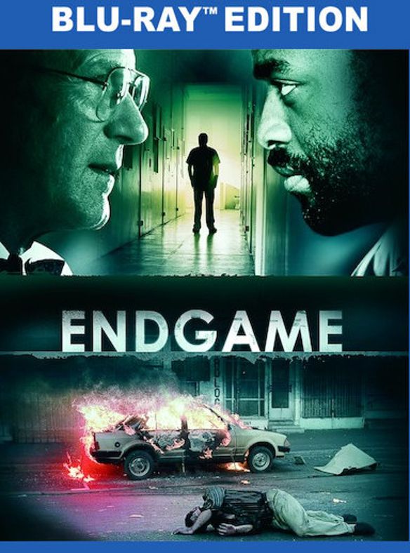 Best Buy: Endgame [Blu-ray] [2009]