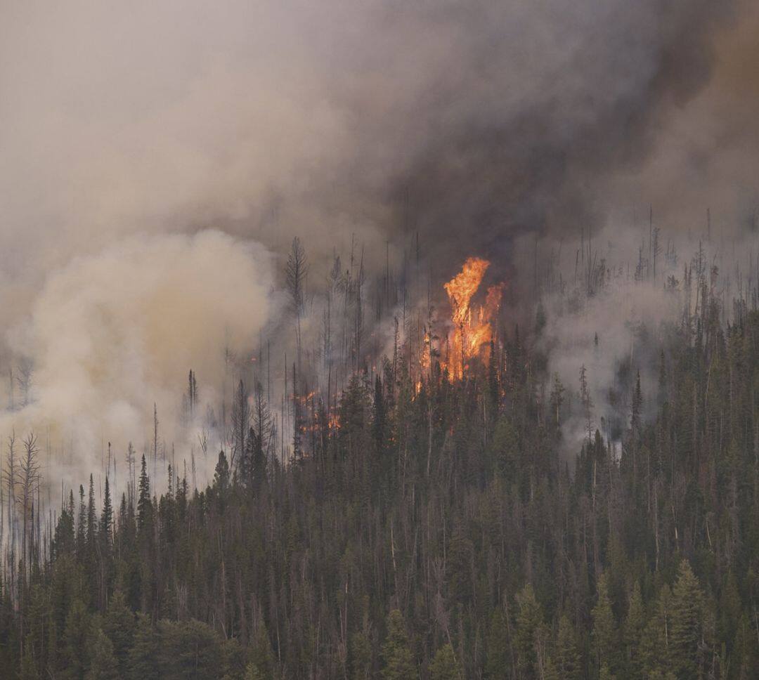 Best Buy Exegeses [LP] VINYL