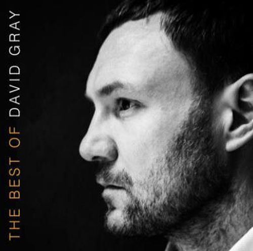  The Best of David Gray [LP] - VINYL