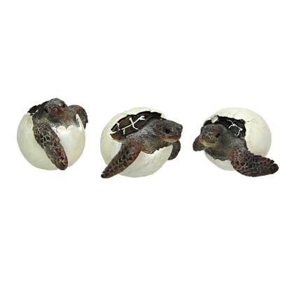 Front. Things2Die4 - Set of 3 Hand-Painted Resin Hatching Sea Turtle Minifigures-2.75 Inches Diameter - Multicolored.