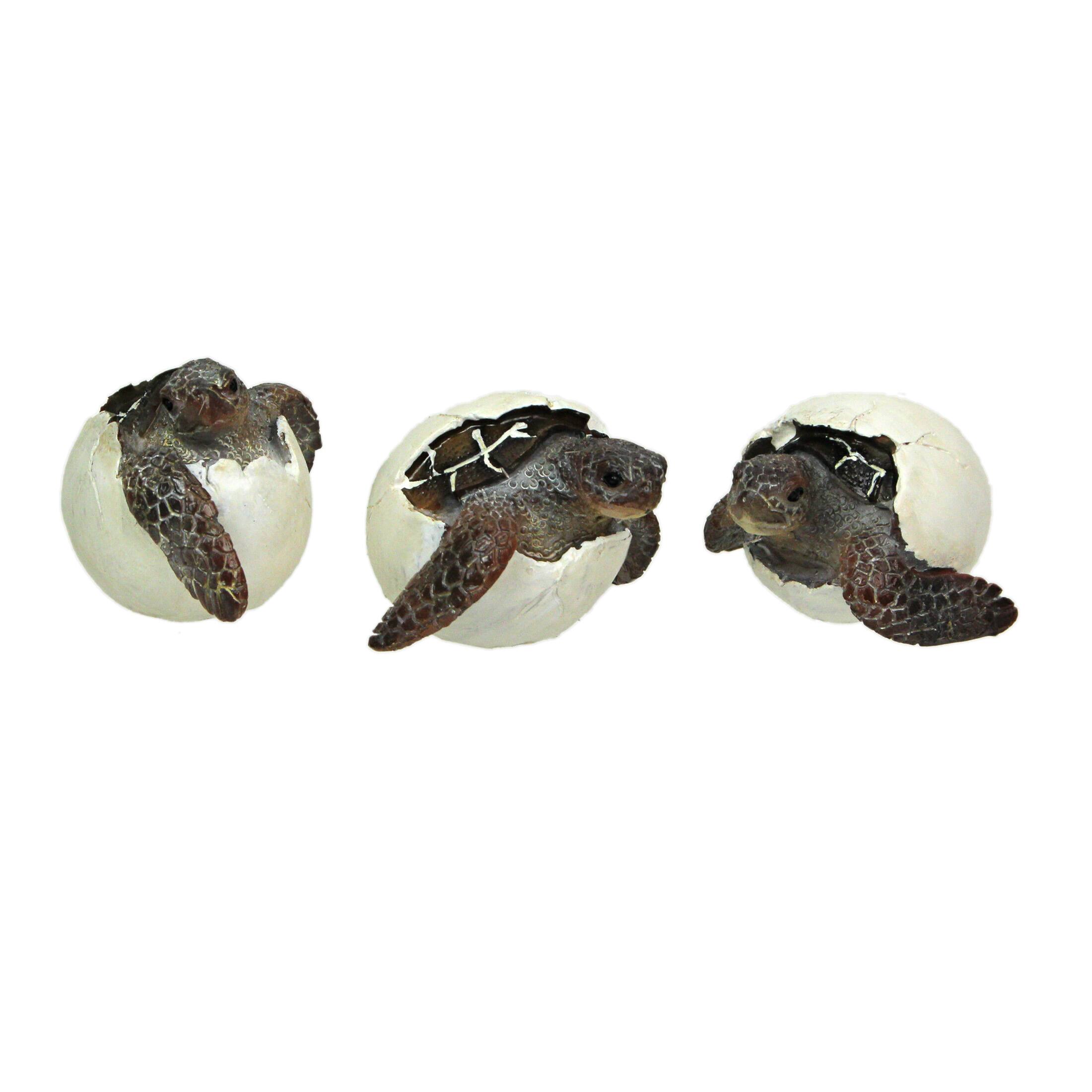 Front. Things2Die4 - Set of 3 Hand-Painted Resin Hatching Sea Turtle Minifigures-2.75 Inches Diameter - Multicolored.