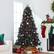 Alt View 3. Best Choice Products - Best Choice Products Artificial Christmas Tree, 7.5ft Premium Pre-Lit Spruce Design, Dense Branches Black Spruce - Black Spruce.