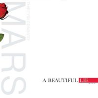 Beautiful Lie [LP] - VINYL - Front_Standard