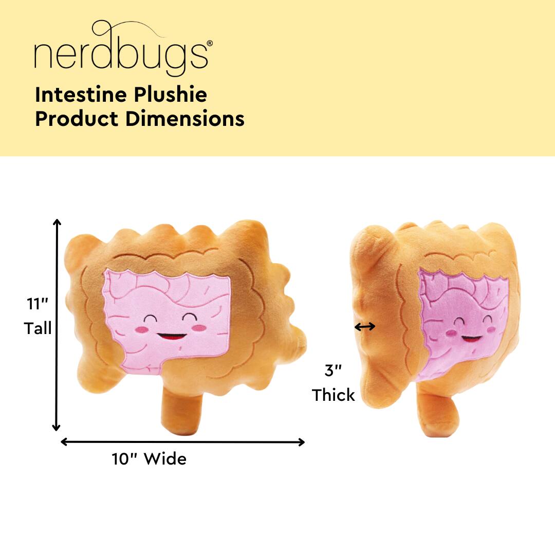 nerdbugs®  
Intestine Plushie  
Product Dimensions  

11" Tall  
3" Thick  
10" Wide