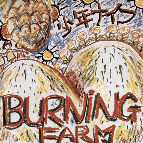 

Burning Farm [LP] - VINYL