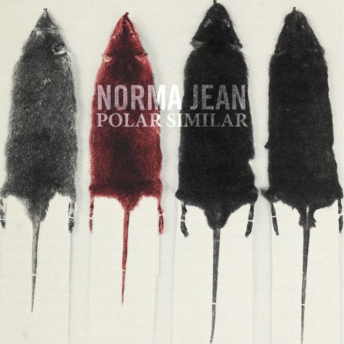  Polar Similar [LP] - VINYL