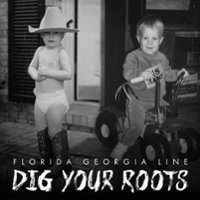 Dig Your Roots [LP] - VINYL - Front_Original