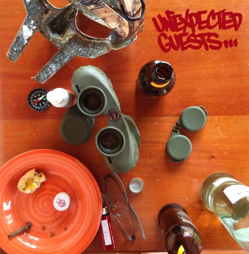 Unexpected Guests [LP] - VINYL