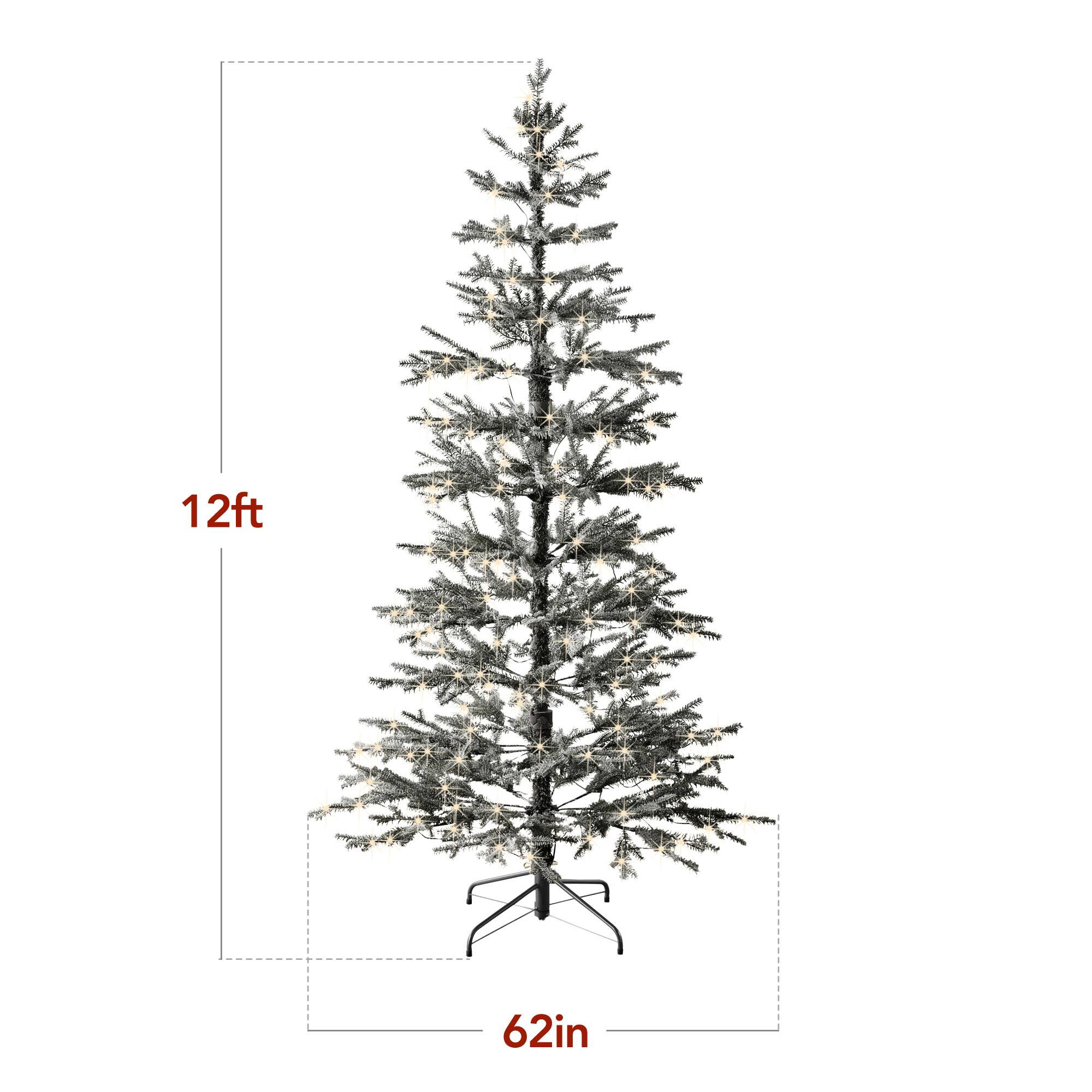 12ft 62in