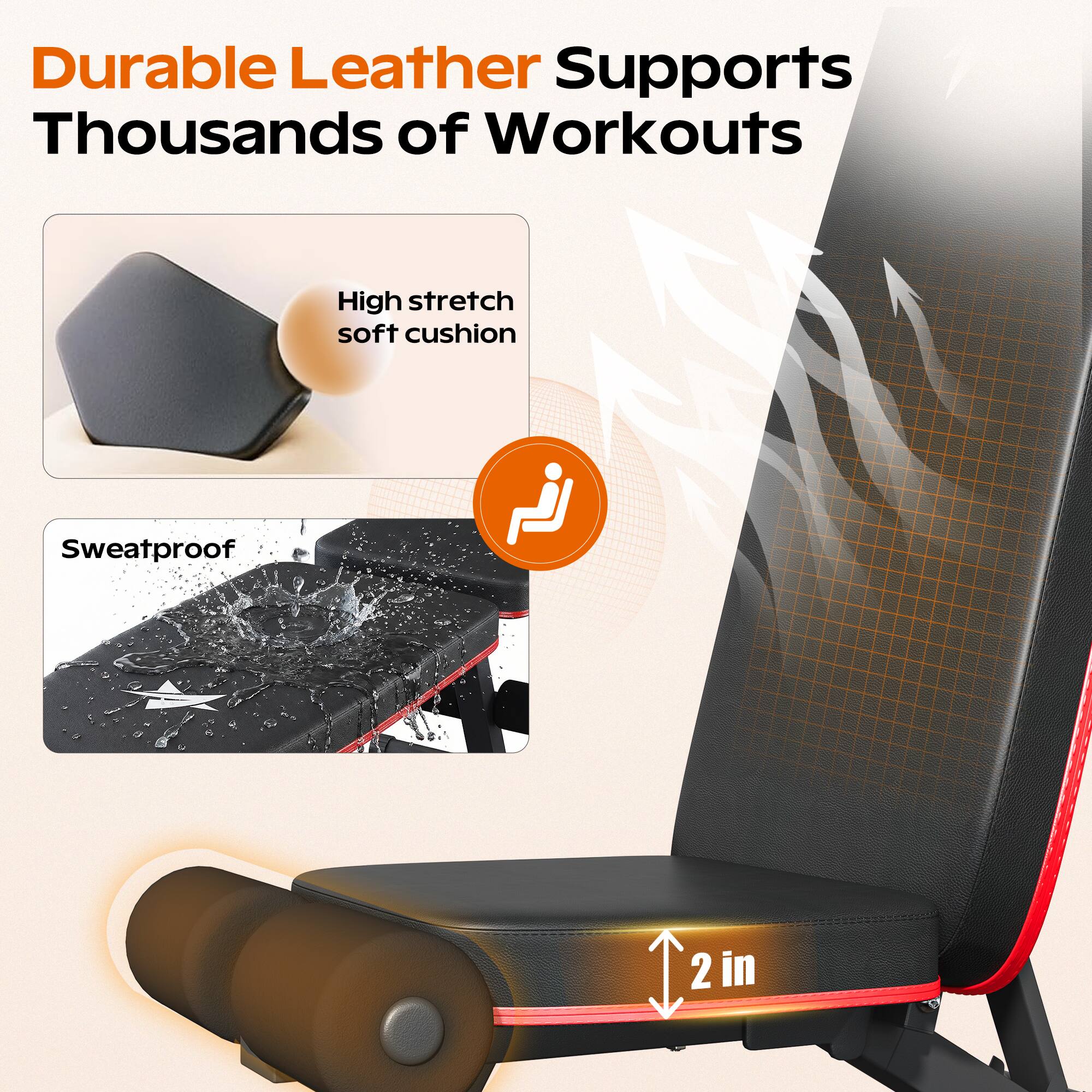 Durable Leather Supports Thousands of Workouts

High stretch soft cushion

Sweatproof

2 in