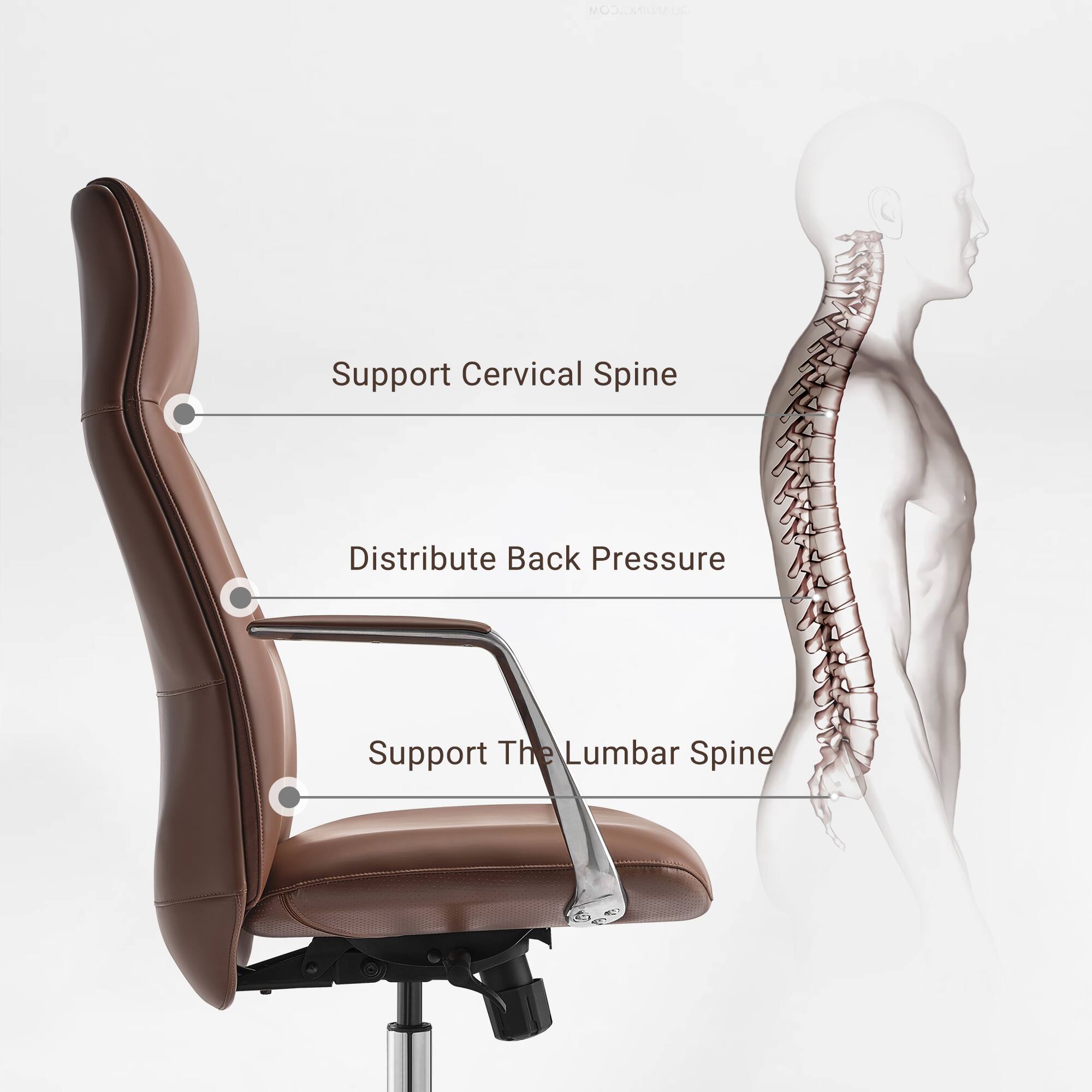 QUANJING.COM

Support Cervical Spine  
Distribute Back Pressure  
Support The Lumbar Spine