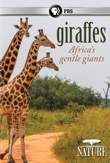 fire gange Termisk hænge Nature: Giraffes Africa's Gentle Giants [DVD] - Best Buy